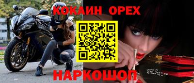 дживик Гатчина