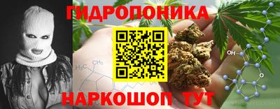 дживик Гатчина