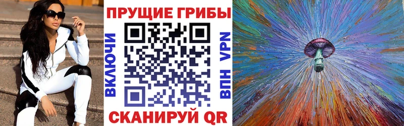 наркотики  Губаха  Псилоцибиновые грибы прущие грибы 