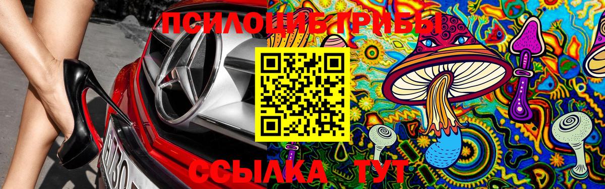 Галлюциногенные грибы ЛСД Губаха