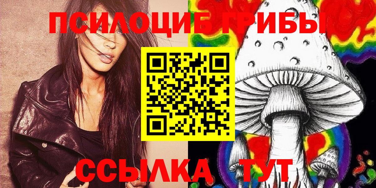 Галлюциногенные грибы Psilocybine cubensis  Губаха  Псилоцибиновые грибы мицелий 