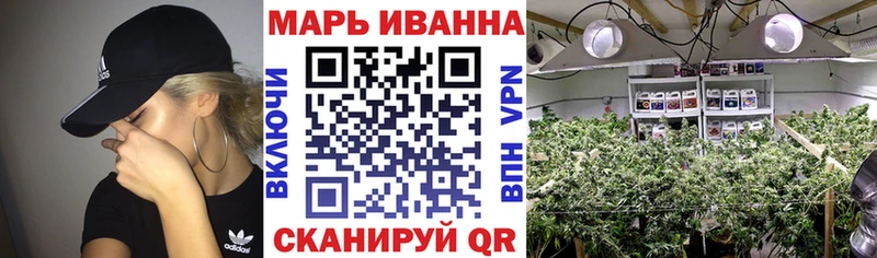Марихуана сатива Губаха